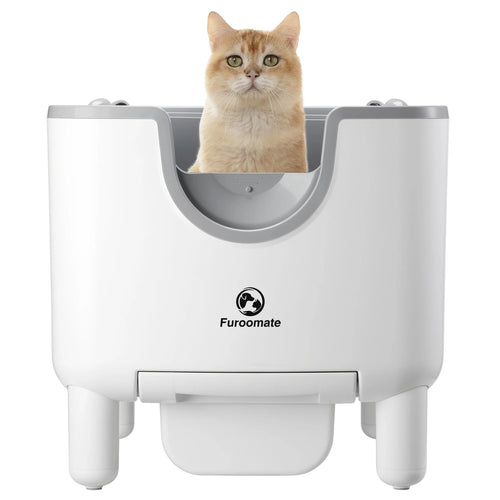  Cat Litter Box 