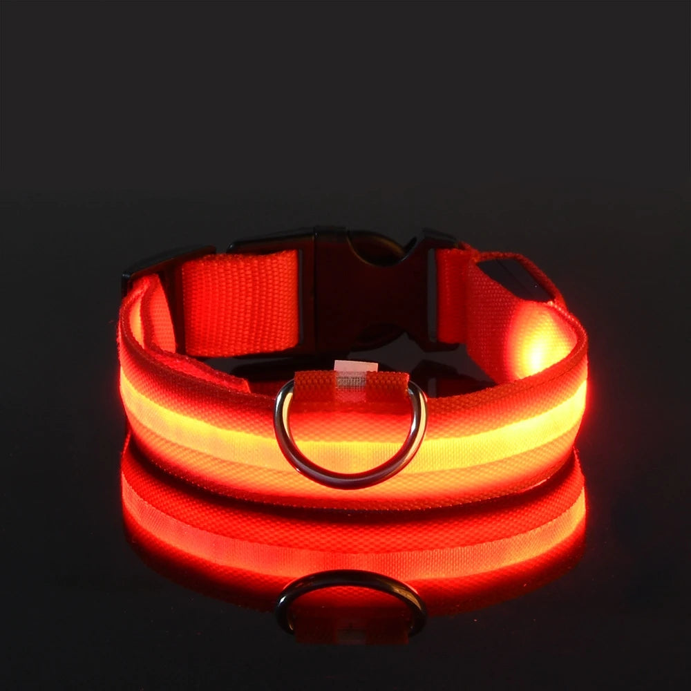 LED Dog Leash & Luminous Collar – Glow-in-the-Dark Nylon Pet Safety Flashing Leash for Dogs