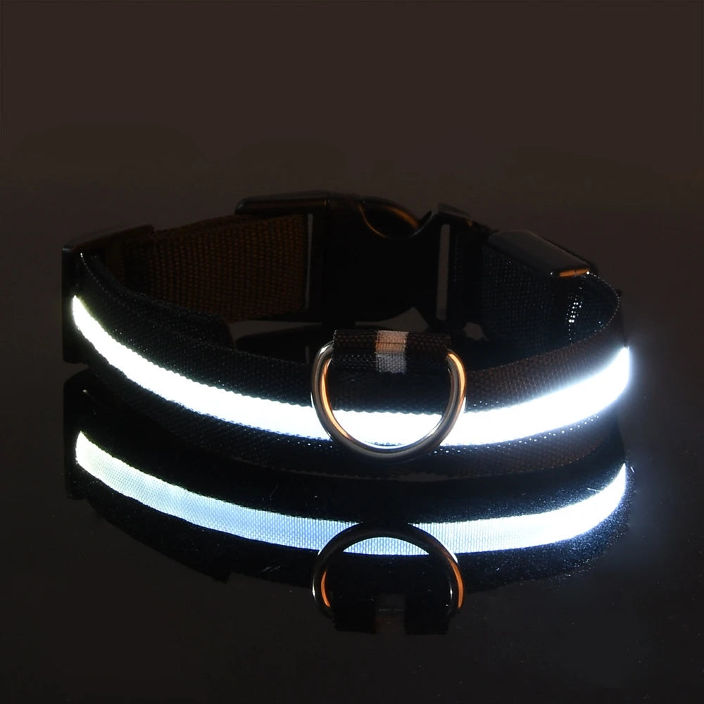 LED Dog Leash & Luminous Collar – Glow-in-the-Dark Nylon Pet Safety Flashing Leash for Dogs