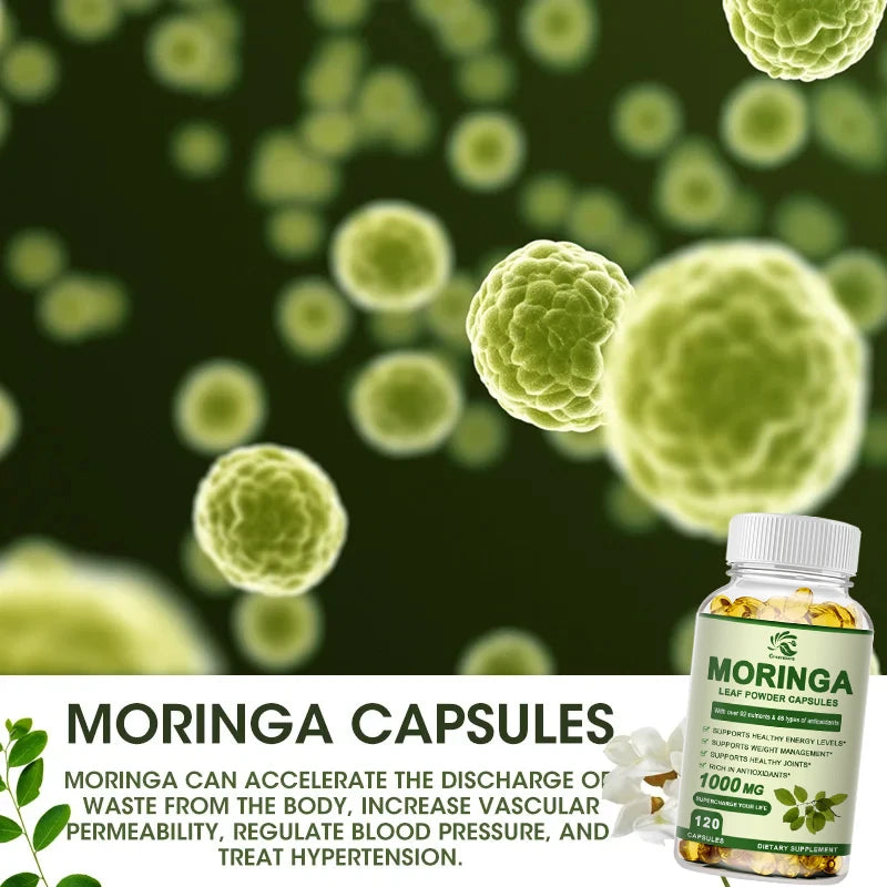 Moringa Oil Promotes Metabolism Supports Weight Loss, Repairs Damaged Cells, Alleviates Iflammation Cardiovascular Health