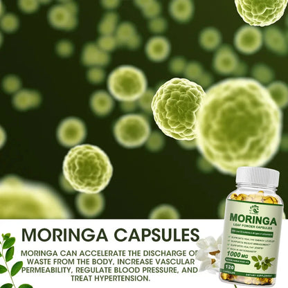Moringa Oil Promotes Metabolism Supports Weight Loss, Repairs Damaged Cells, Alleviates Iflammation Cardiovascular Health
