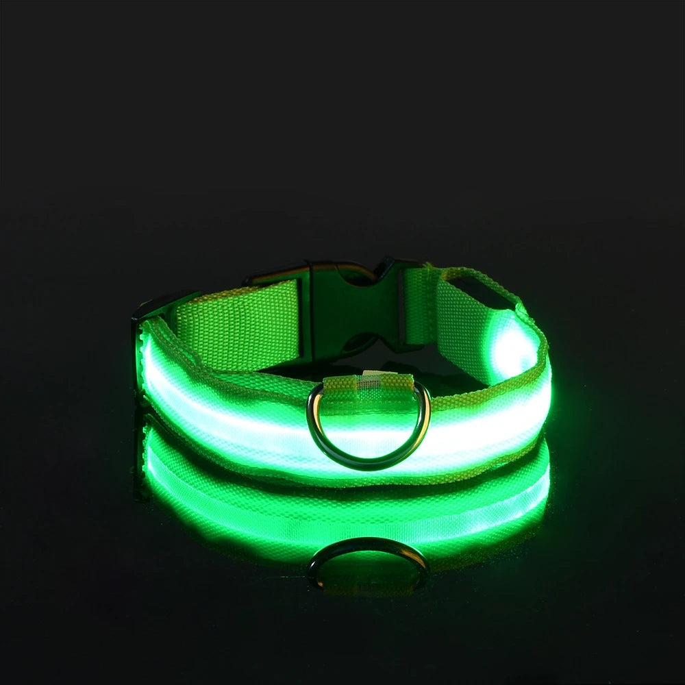 LED Dog Leash & Luminous Collar – Glow-in-the-Dark Nylon Pet Safety Flashing Leash for Dogs