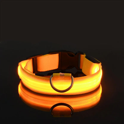 LED Dog Leash & Luminous Collar – Glow-in-the-Dark Nylon Pet Safety Flashing Leash for Dogs