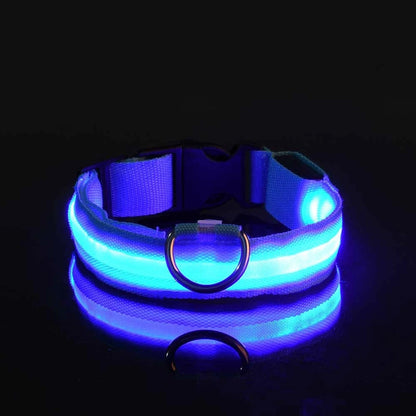 LED Dog Leash & Luminous Collar – Glow-in-the-Dark Nylon Pet Safety Flashing Leash for Dogs