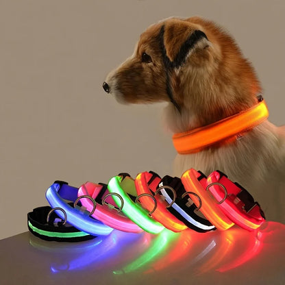 LED Dog Leash & Luminous Collar – Glow-in-the-Dark Nylon Pet Safety Flashing Leash for Dogs