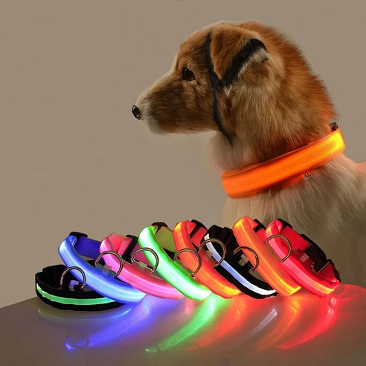LED Dog Leash & Luminous Collar – Glow-in-the-Dark Nylon Pet Safety Flashing Leash for Dogs