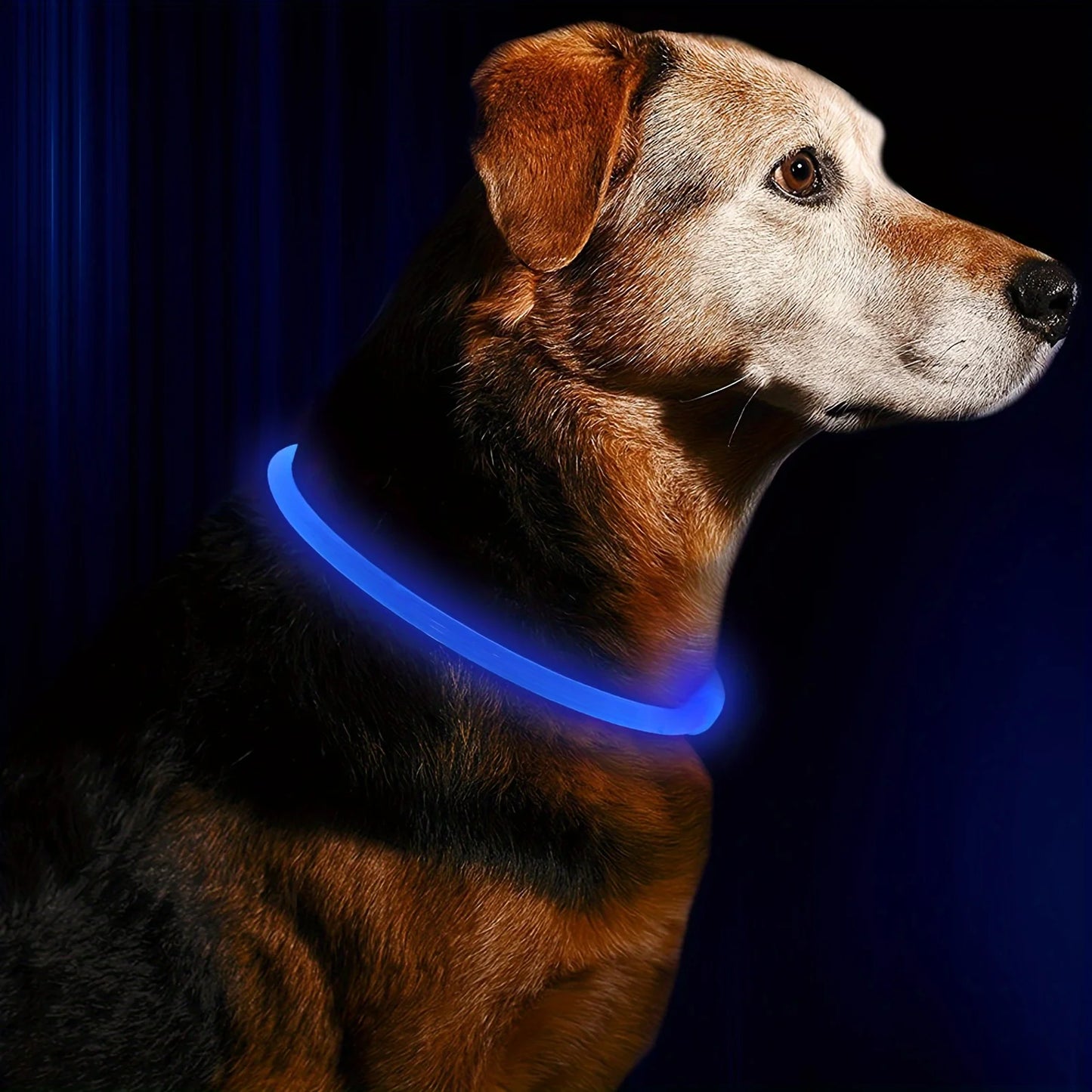 LED Dog Collar – Luminous Anti-Lost USB Rechargeable Necklace for Pets