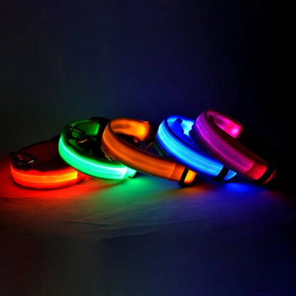 LED Dog Leash & Luminous Collar – Glow-in-the-Dark Nylon Pet Safety Flashing Leash for Dogs