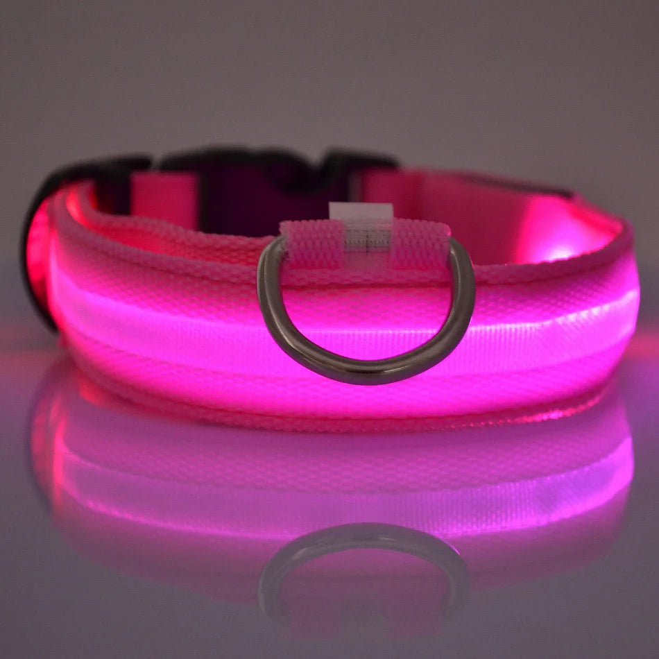 LED Dog Leash & Luminous Collar – Glow-in-the-Dark Nylon Pet Safety Flashing Leash for Dogs