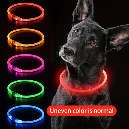 LED Dog Collar – Luminous Anti-Lost USB Rechargeable Necklace for Pets