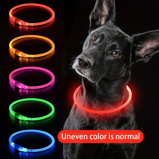 LED Dog Collar – Luminous Anti-Lost USB Rechargeable Necklace for Pets