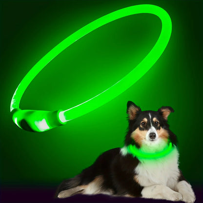 LED Dog Collar – Luminous Anti-Lost USB Rechargeable Necklace for Pets