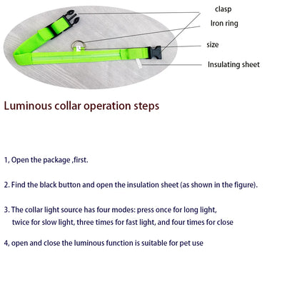 LED Dog Leash & Luminous Collar – Glow-in-the-Dark Nylon Pet Safety Flashing Leash for Dogs