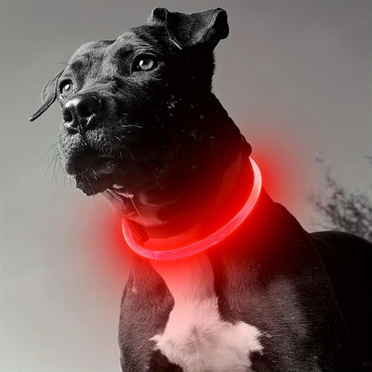 LED Dog Collar – Luminous Anti-Lost USB Rechargeable Necklace for Pets