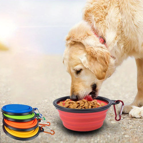 Portable Silicone Dog Travel Bowl – Foldable Dog Food & Water Bowl with Lip for Outdoor Walking